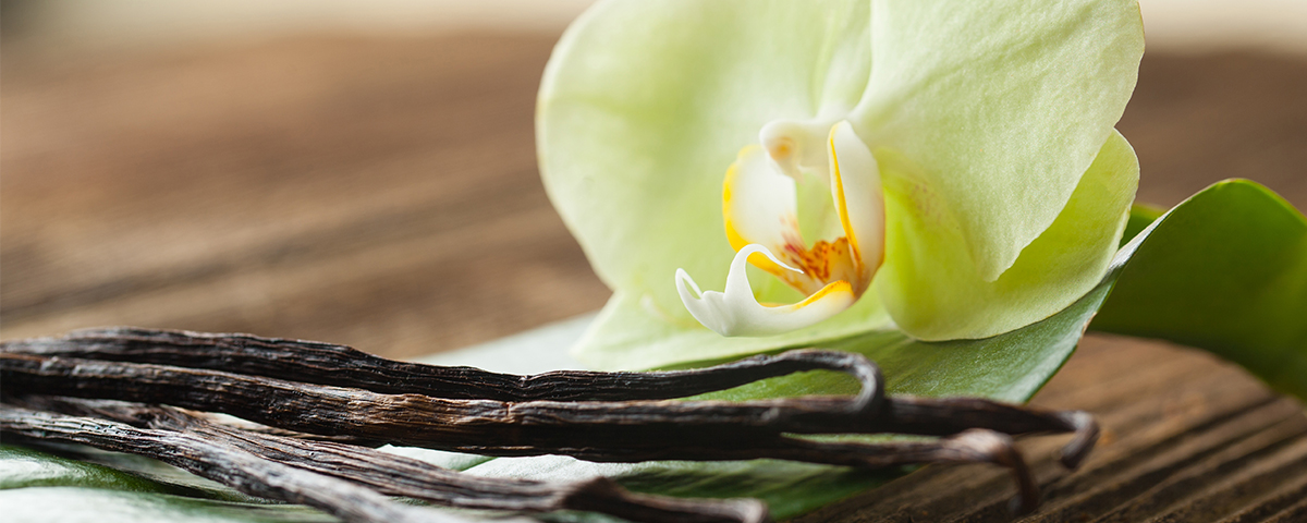 How Scent Marketing and the Scent of Vanilla Can Spice Up Your Business