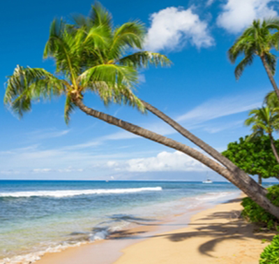 hawaiian-breeze-Thumb