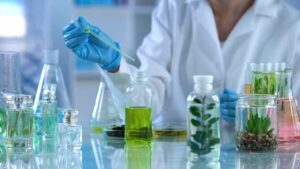 The science of smell and how it affects memory